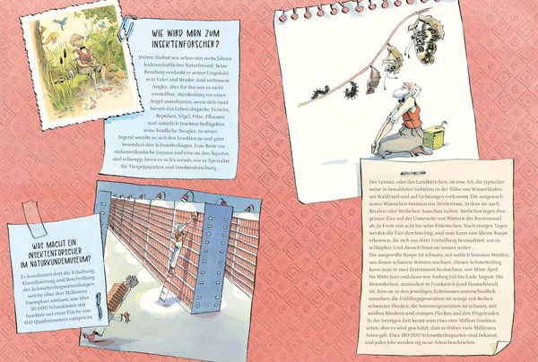 Produktbild: Die abenteuerliche Expedition des Professors Papillon