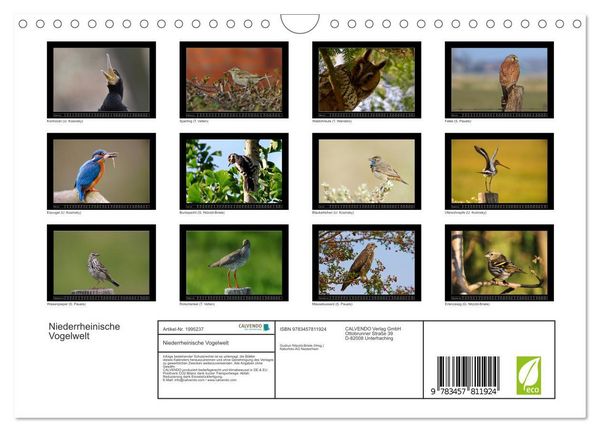 Produktbild: Niederrheinische Vogelwelt (Wandkalender 2026 DIN A4 quer), CALVENDO Monatskalender