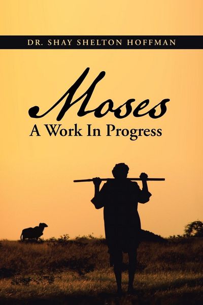 Produktbild: MOSES A Work In Progress