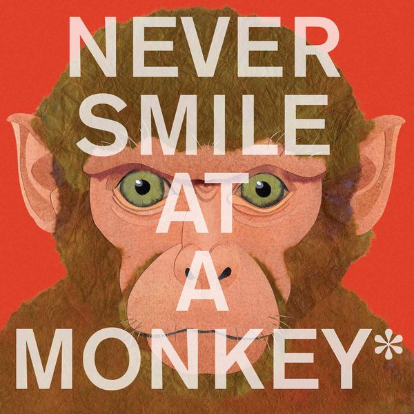 Produktbild: Never Smile at a Monkey