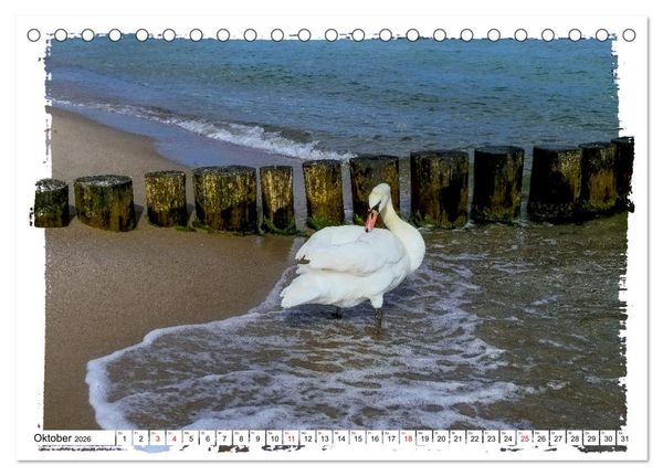 Produktbild: Zingst Sehnsucht nach Meer (Tischkalender 2026 DIN A5 quer), CALVENDO Monatskalender