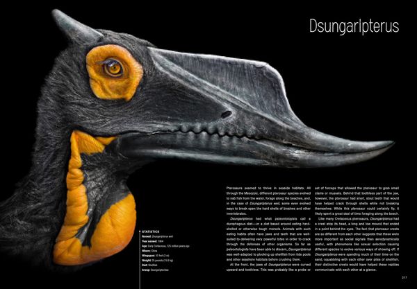 Produktbild: Dinosaurs