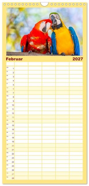 Produktbild: Familienplaner 2027 - Aras und bunte Sittiche: Exotische Papageien-Portr&auml;ts mit 5 Spalten (Wandkalender, 21 x 45 cm) CALVENDO