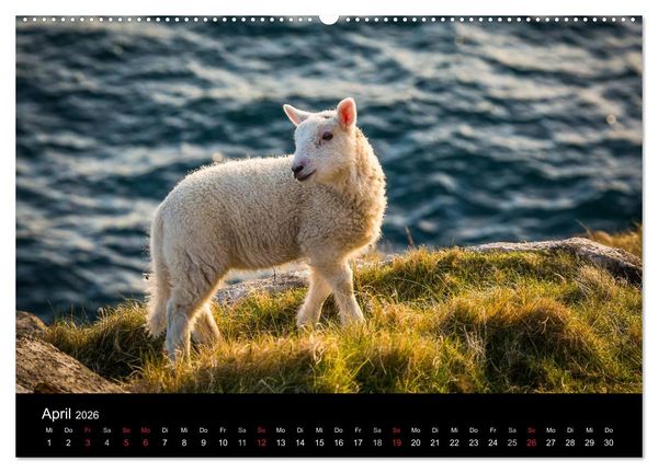 Produktbild: Schottland - Die wundervolle Isle of Skye (Wandkalender 2026 DIN A2 quer), CALVENDO Monatskalender