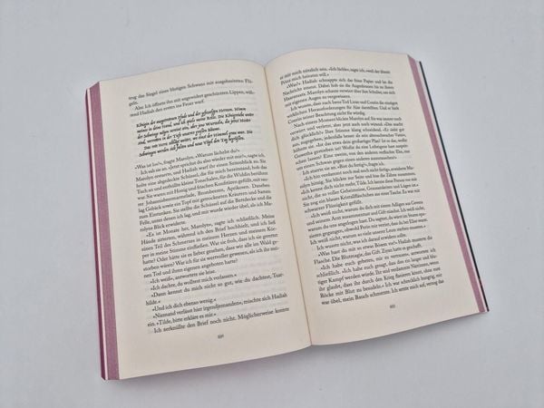 Produktbild: A Snake among Swans