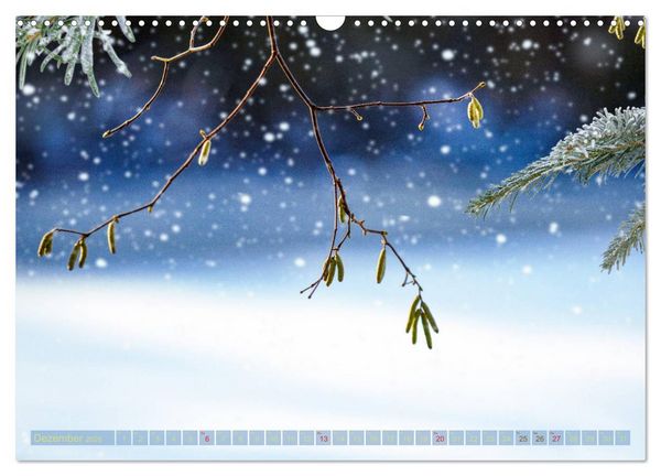 Produktbild: Natursch&ouml;nheiten - mit Bl&uuml;ten und Pflanzen durch das Jahr (Wandkalender 2026 DIN A3 quer), CALVENDO Monatskalender