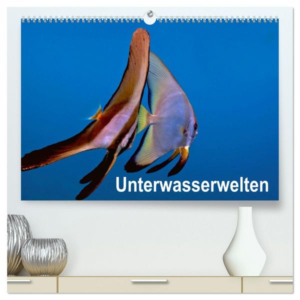 Produktbild: Unterwasserwelten (hochwertiger Premium Wandkalender 2026 DIN A2 quer), Kunstdruck in Hochglanz