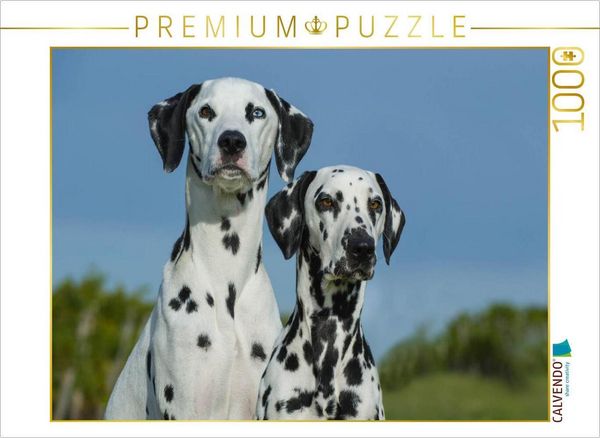 CALVENDO Puzzle Traumhund Dalmatiner | 1000 Teile Lege-Größe 64x48cm Foto-Puzzle für glückliche Stunden