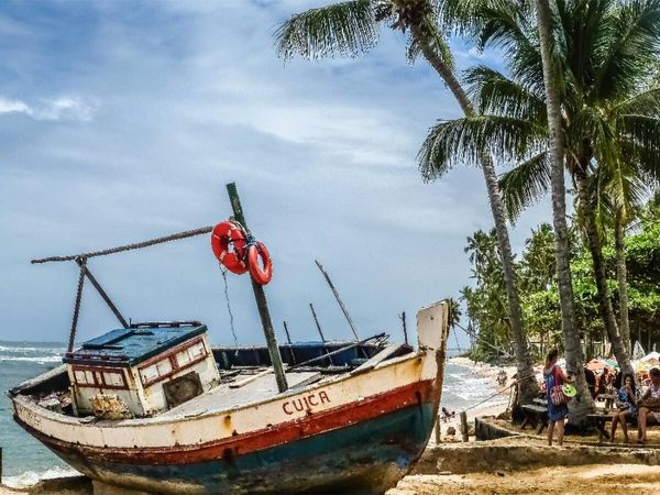 Produktbild: CALVENDO Puzzle Praia do Forte - Costa dos Coqueiros | 1000 Teile Lege-Gr&ouml;&szlig;e 64x48cm Foto-Puzzle f&uuml;r gl&uuml;ckliche Stunden
