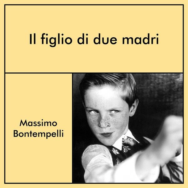 Produktbild: Il figlio di due madri