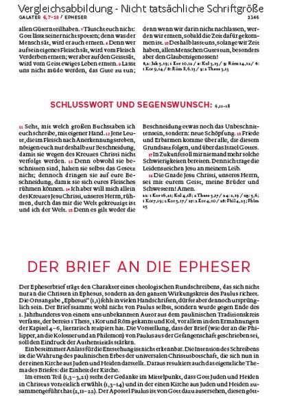Produktbild: Die Bibel. Mit Sonderseiten für junge Menschen.
