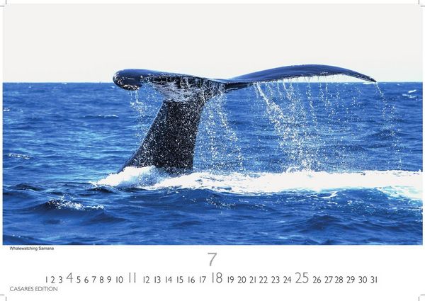 Produktbild: Dominikanische Republik Kalender 2027 &ndash; Wandkalender | Fotokalender Karibik 24x35cm &ndash; Bildkalender mit exotischen Motiven, ideal f&uuml;r Strandfans, Weltenbummler & Karibiktr&auml;umer