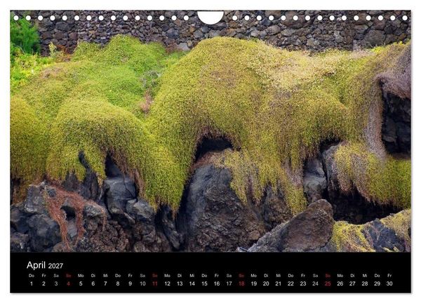Produktbild: Madeira die Gr&uuml;ne Insel (Wandkalender 2027 DIN A4 quer), CALVENDO Monatskalender