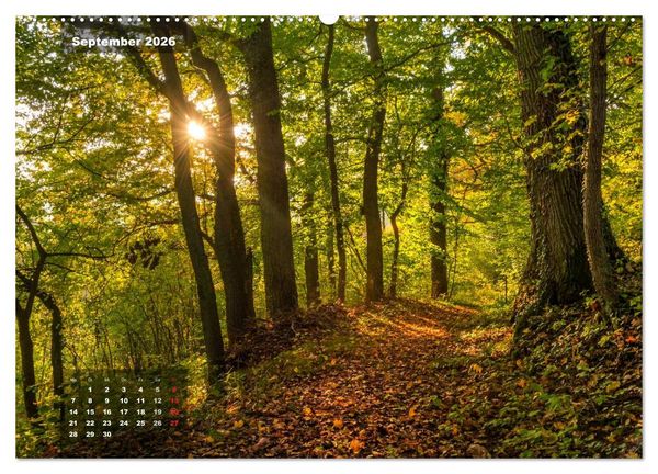 Produktbild: Zauberhafte Waldlandschaften (Wandkalender 2026 DIN A2 quer), CALVENDO Monatskalender