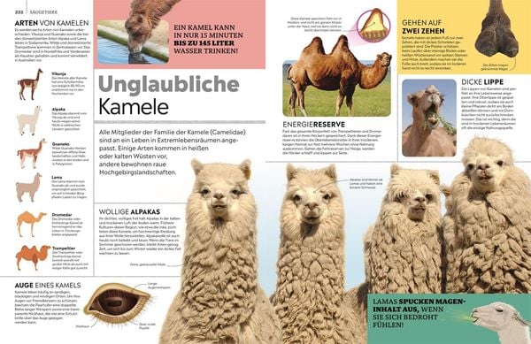 Produktbild: Memo Wissen. Tiere