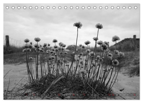 Produktbild: 54&deg;54'57"N 8&deg;19'51"E SYLT (Tischkalender 2026 DIN A5 quer), CALVENDO Monatskalender