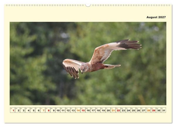 Produktbild: Tierwelt der W&uuml;mmeniederung (Wandkalender 2027 DIN A2 quer), CALVENDO Monatskalender