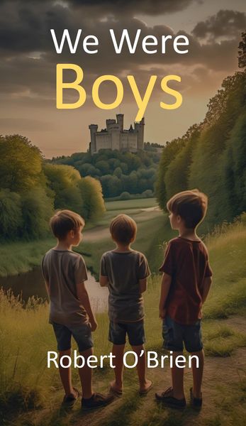 Produktbild: We Were Boys