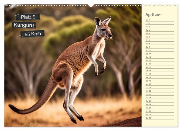 Produktbild: Wer rennt am schnellsten? (Wandkalender 2026 DIN A2 quer), CALVENDO Monatskalender