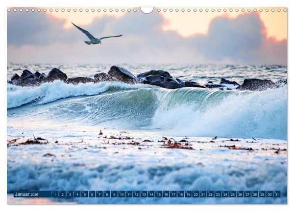 Produktbild: Helgoland - Das Leben auf der D&uuml;ne Helgolands (Wandkalender 2026 DIN A3 quer), CALVENDO Monatskalender