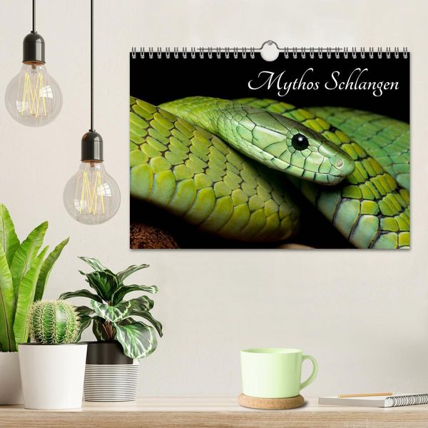 Produktbild: Mythos Schlangen (Wandkalender 2026 DIN A4 quer), CALVENDO Monatskalender