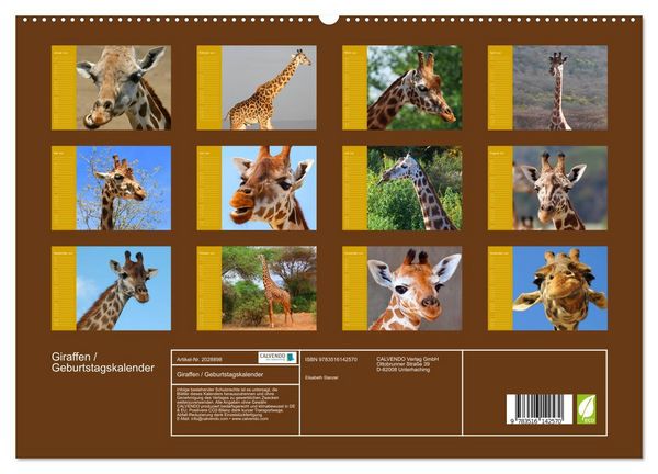 Produktbild: Giraffen / Geburtstagskalender (hochwertiger Premium Wandkalender 2026 DIN A2 quer), Kunstdruck in Hochglanz