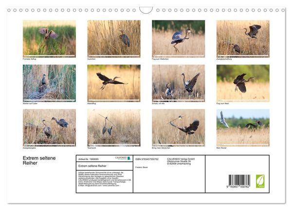 Produktbild: Extrem seltene Reiher (Wandkalender 2026 DIN A3 quer), CALVENDO Monatskalender