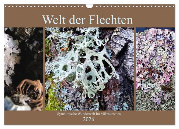 Produktbild: Welt der Flechten (Wandkalender 2026 DIN A3 quer), CALVENDO Monatskalender