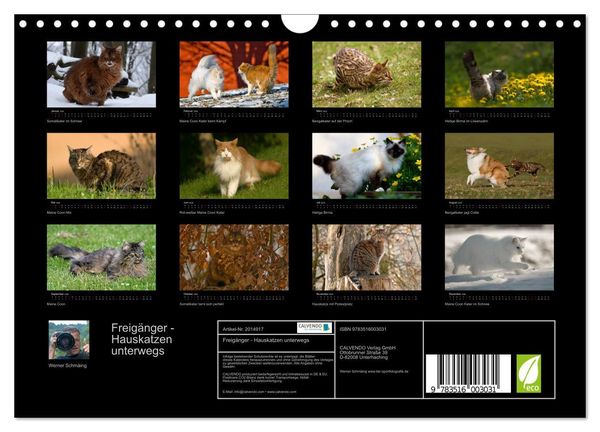 Produktbild: Freig&auml;nger - Hauskatzen unterwegs (Wandkalender 2026 DIN A4 quer), CALVENDO Monatskalender