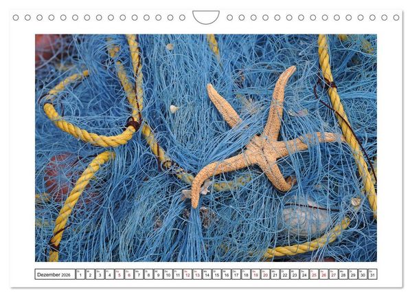 Produktbild: Netzdetails (Wandkalender 2026 DIN A4 quer), CALVENDO Monatskalender