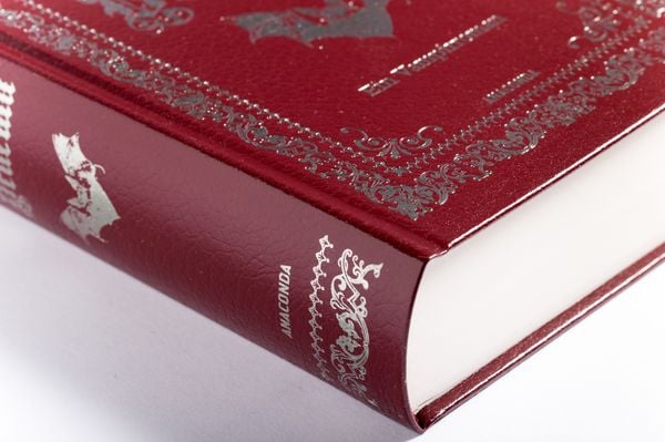 Produktbild: Dracula. Ein Vampirroman
