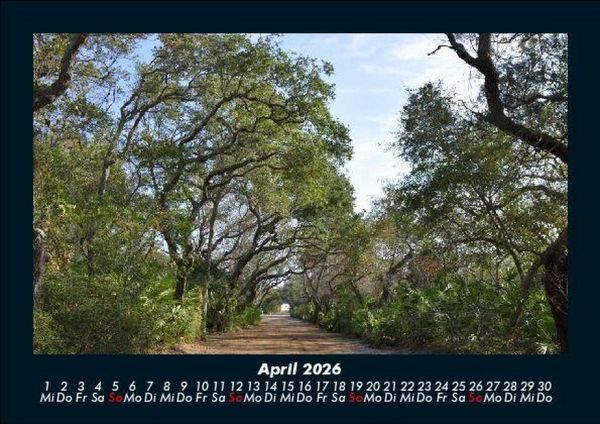 Produktbild: B&auml;ume 2026 Fotokalender DIN A5
