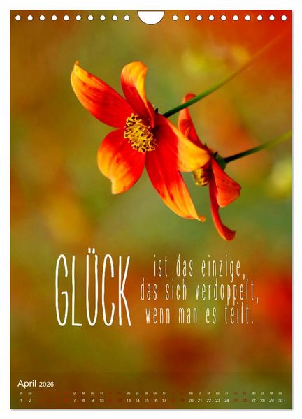 Produktbild: ICH W&Uuml;NSCHE DIR GL&Uuml;CK - 12 Monate mit inspirierenden Gl&uuml;ckszitaten (Wandkalender 2026 DIN A4 hoch), CALVENDO Monatskalender