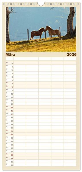 Produktbild: Familienplaner 2026 - Pferde und Ponys im Paradies mit 5 Spalten (Wandkalender, 21 x 45 cm) CALVENDO