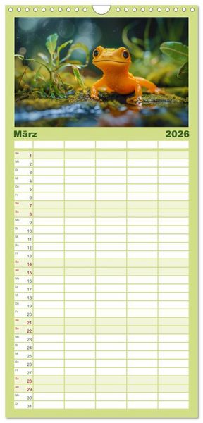Produktbild: Familienplaner 2026 - Kleine Echsen haben Spass mit 5 Spalten (Wandkalender, 21 x 45 cm) CALVENDO