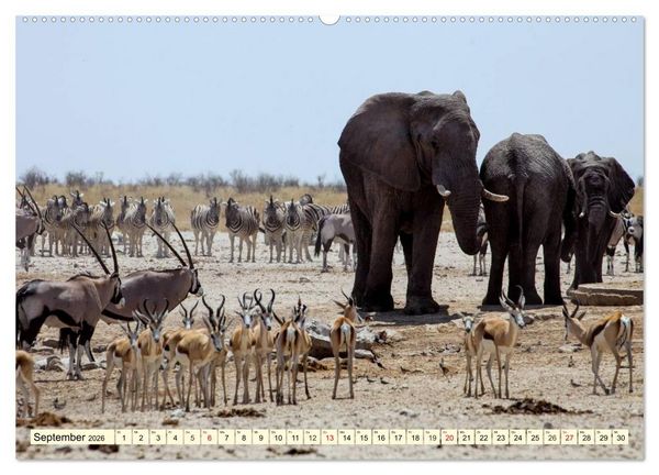 Produktbild: Wildes Leben in Botswana (Wandkalender 2026 DIN A2 quer), CALVENDO Monatskalender