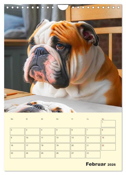 Produktbild: English Bulldogs. Fr&ouml;hliche Dickk&ouml;pfe mit Charakter (Wandkalender 2026 DIN A4 hoch), CALVENDO Monatskalender
