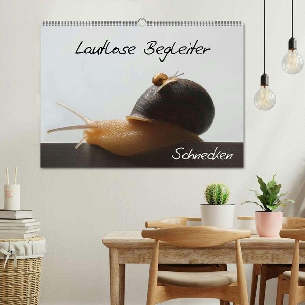 Produktbild: Lautlose Begleiter - Schnecken (Wandkalender 2026 DIN A2 quer), CALVENDO Monatskalender