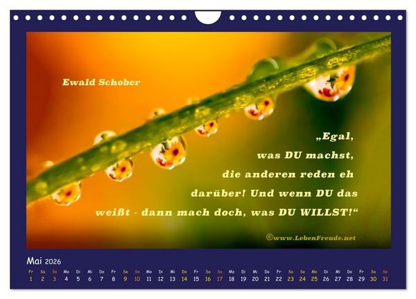 Produktbild: Bewusst leben und gl&uuml;cklich sein (Wandkalender 2026 DIN A4 quer), CALVENDO Monatskalender