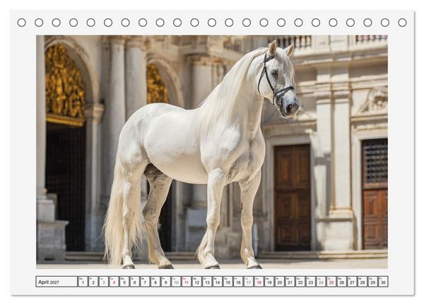 Produktbild: Spanische Eleganz. Edle Schimmel auf dem Gest&uuml;t (Tischkalender 2027 DIN A5 quer), CALVENDO Monatskalender