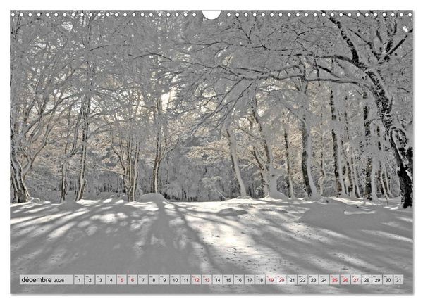 Produktbild: Au c&oelig;ur de la for&ecirc;t (Calendrier mural 2026 DIN A3 vertical), CALVENDO calendrier mensuel
