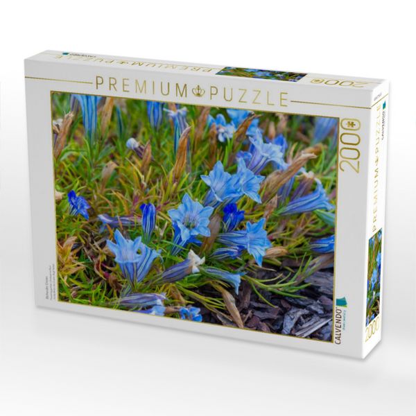 Produktbild: CALVENDO Puzzle Bl&uuml;hender Enzian | 2000 Teile Lege-Gr&ouml;&szlig;e 90x67cm Foto-Puzzle f&uuml;r gl&uuml;ckliche Stunden