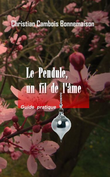 Produktbild: Le pendule, un fil de l'&acirc;me
