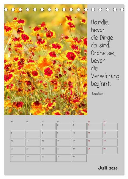 Produktbild: Motivationshilfe (Tischkalender 2026 DIN A5 hoch), CALVENDO Monatskalender
