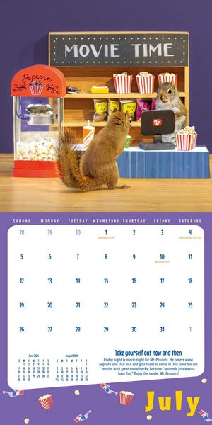 Produktbild: Secret Life of Squirrels Mini Wall Calendar 2026