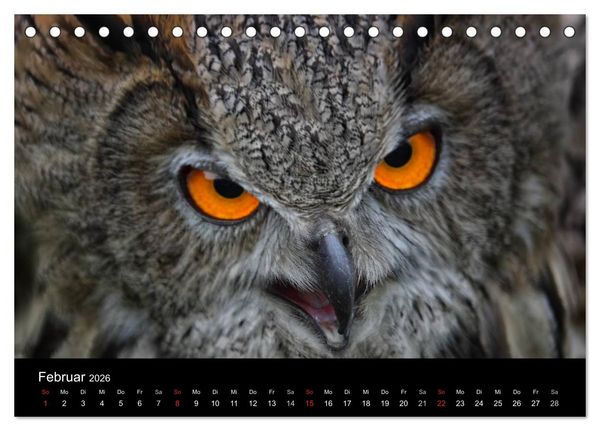 Produktbild: Raubv&ouml;gel zum Greifen nahe (Tischkalender 2026 DIN A5 quer), CALVENDO Monatskalender