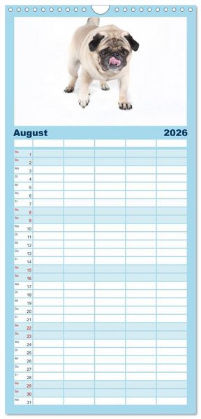 Produktbild: Familienplaner 2026 - Mops - unwiderstehlich und charmant mit 5 Spalten (Wandkalender, 21 x 45 cm) CALVENDO