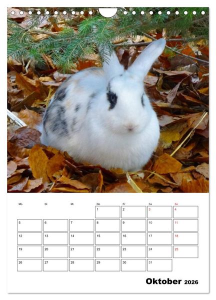 Produktbild: Kaninchen Terminplaner (Wandkalender 2026 DIN A4 hoch), CALVENDO Monatskalender