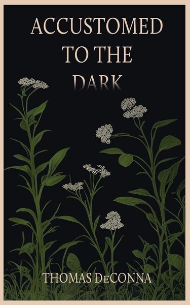 Produktbild: Accustomed to the Dark