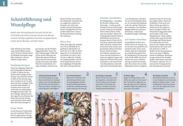 Produktbild: Obstgeh&ouml;lze schneiden